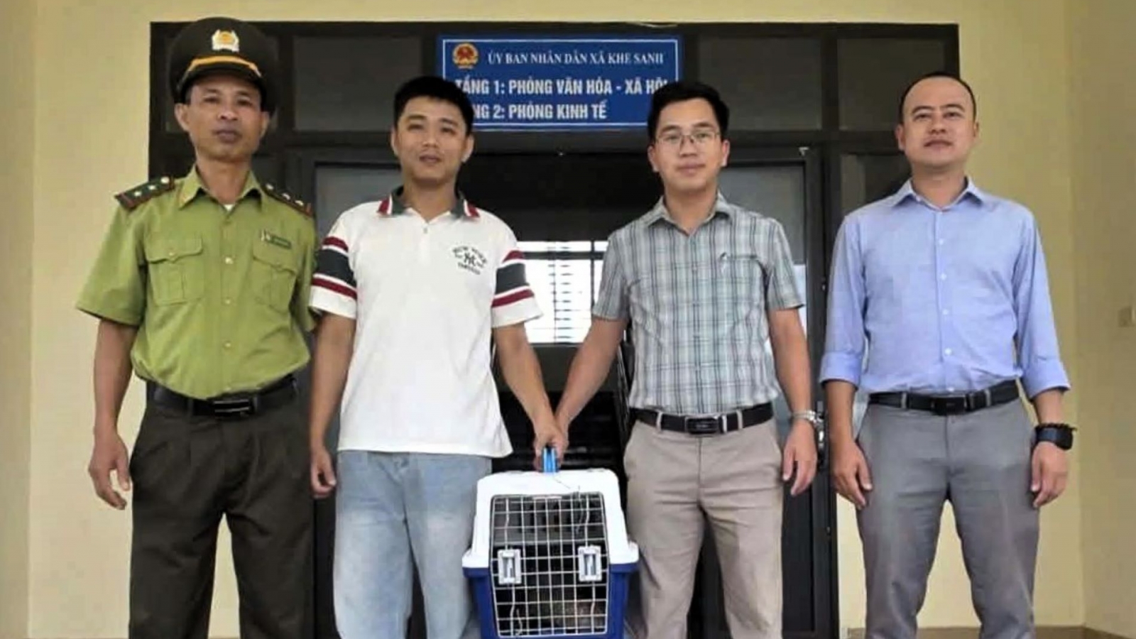 Cứu hộ 1 chú tê tê Java quý hiếm bị kiệt sức ở Khe Sanh